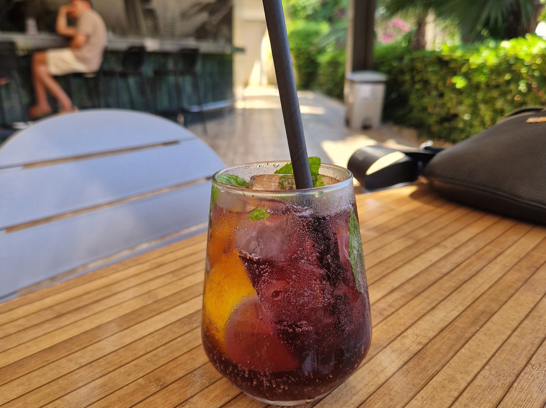 皇家花园海滩酒店 - 全包式主图