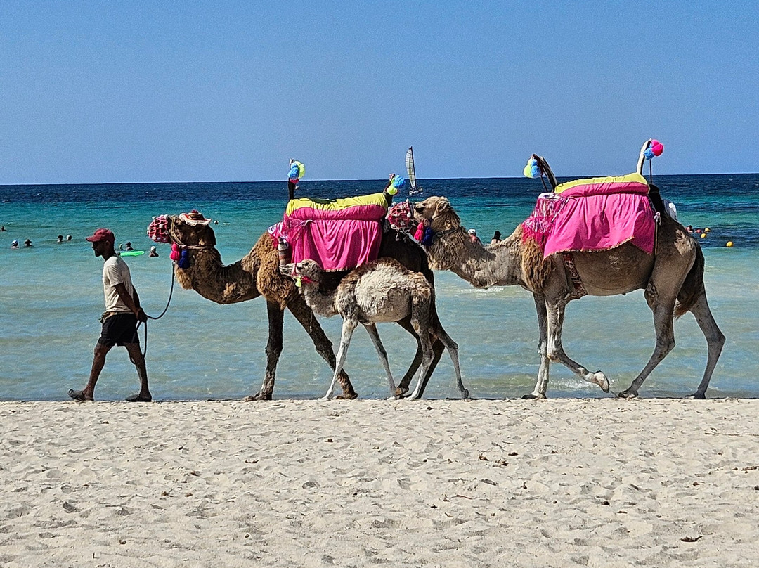 Seabel Rym Beach Djerba主图