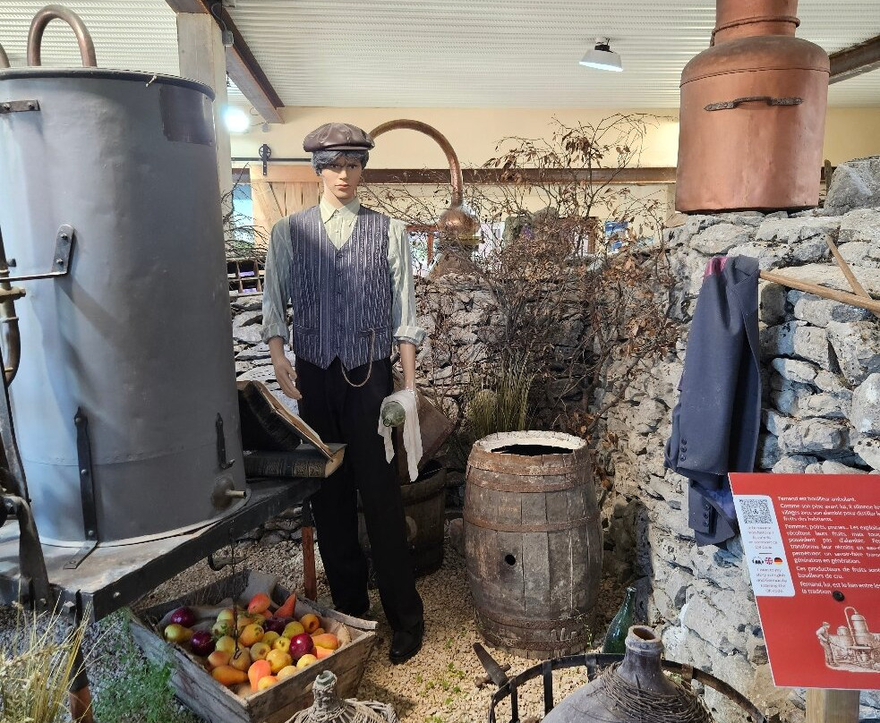 Maison de la Lavande - Domaine Lavandaïs-Saint-Remeze必去景点