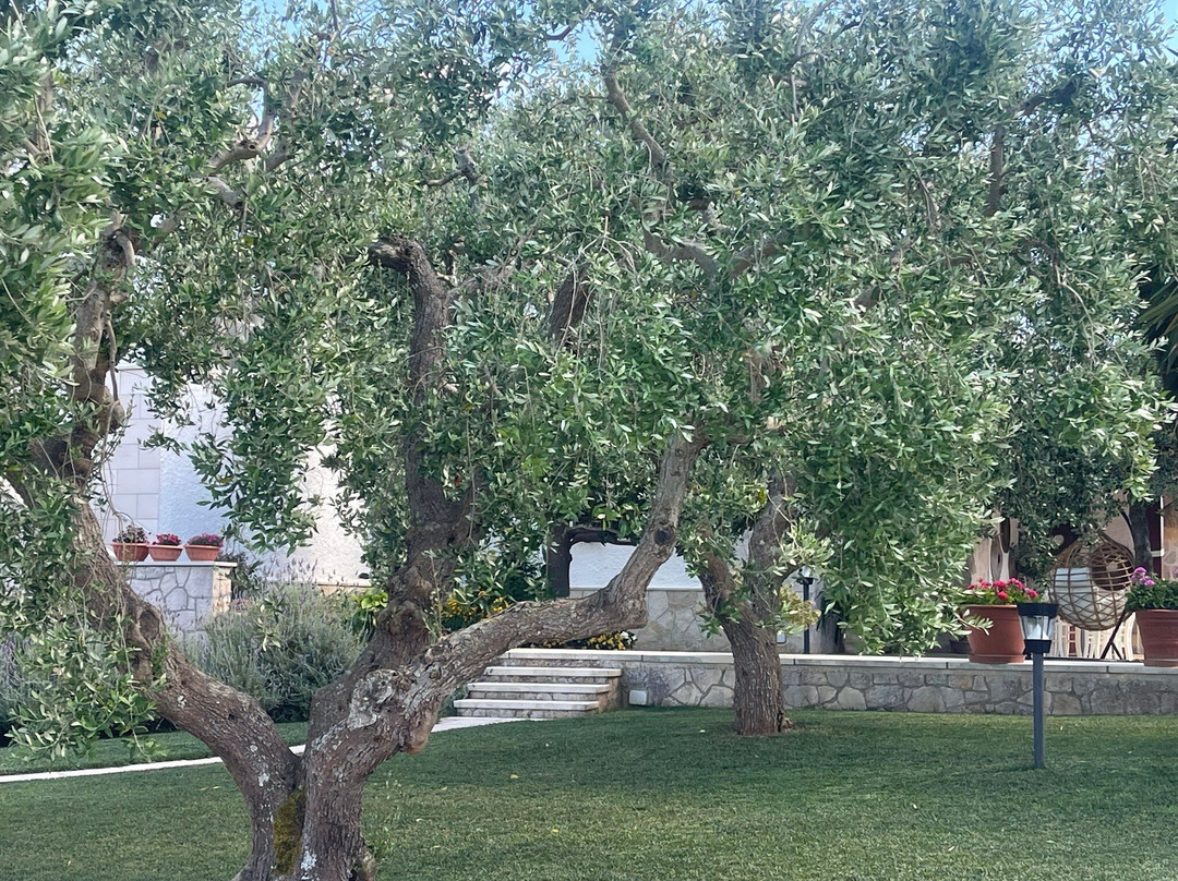 Villa Maggi