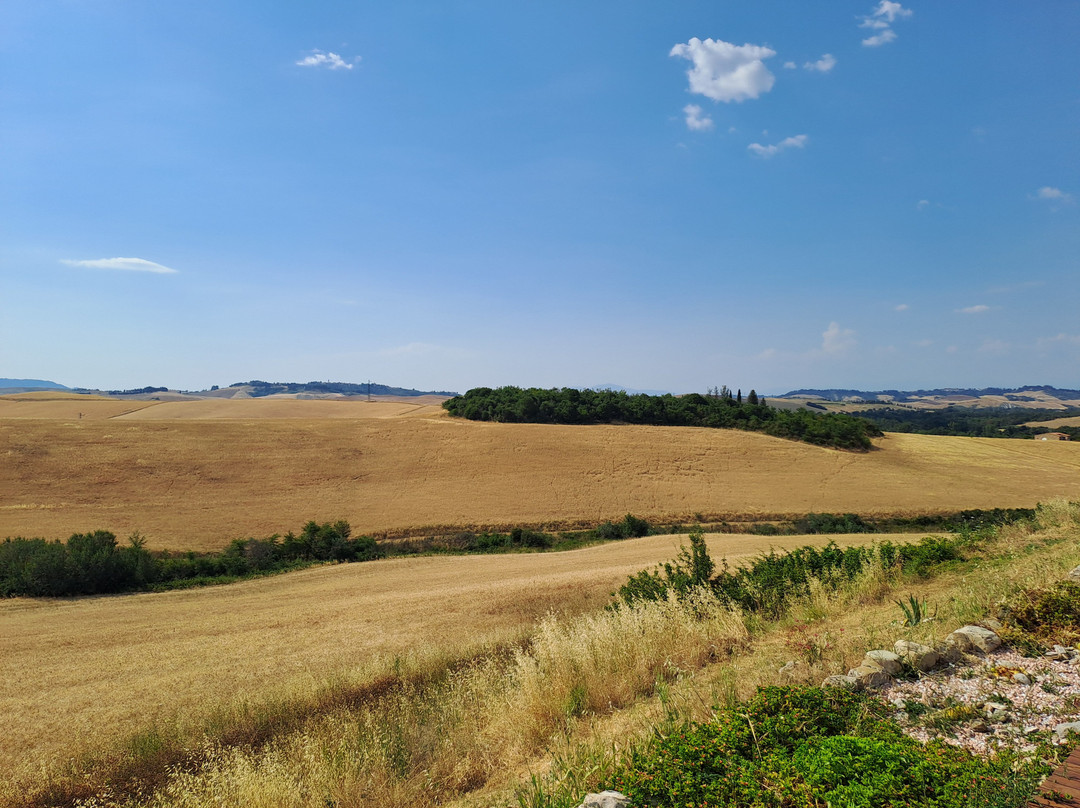 Poderino il Sole