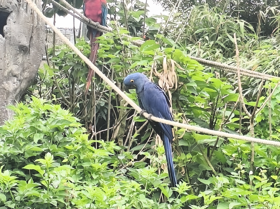 Zoo De Champrepus-Champrepus必去景点