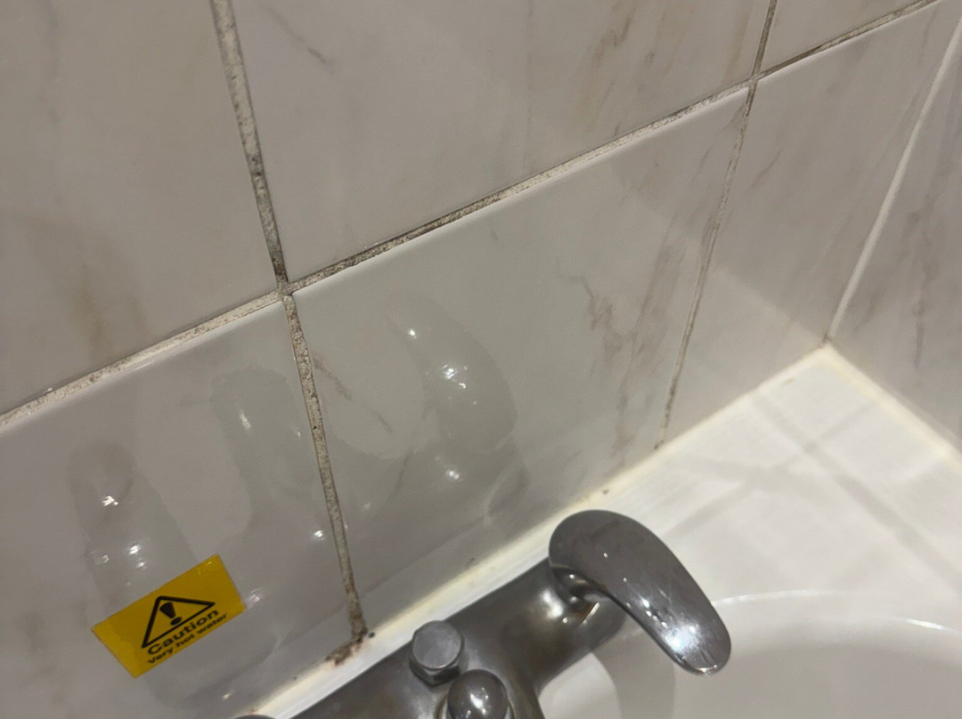 经典希克史泰德酒店主图