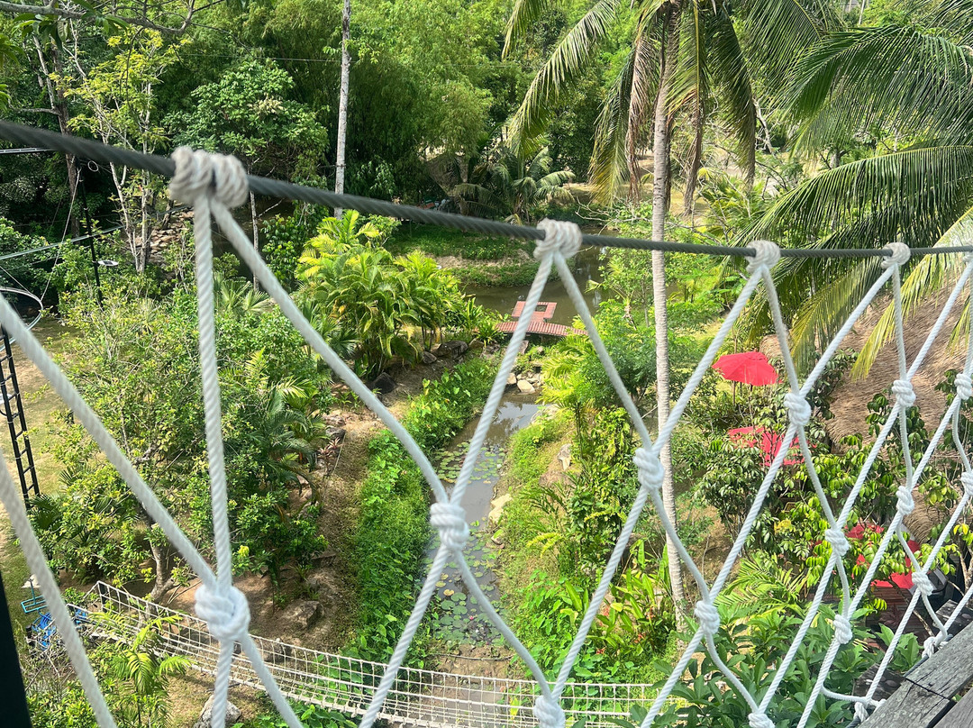 Samui Zipline & Adventures-利巴诺伊必去景点