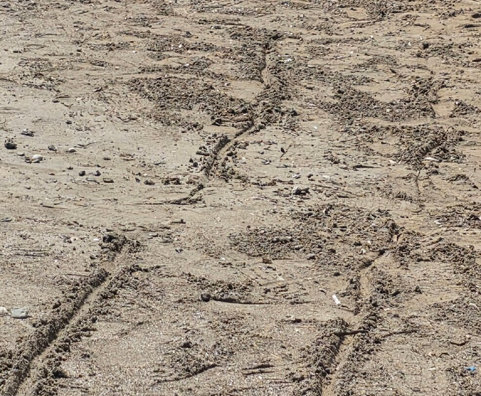 Spiaggia della Spinazza-Marzamemi必去景点