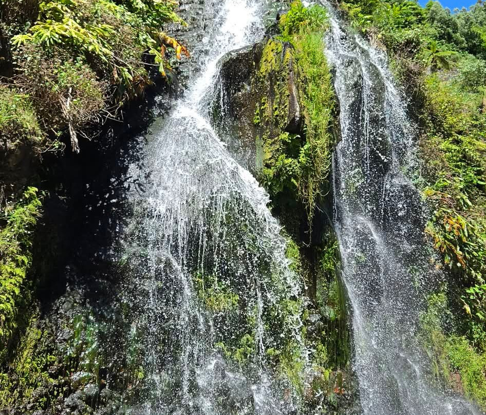 Parque Natural da Ribeira dos Caldeirões-Achada必去景点