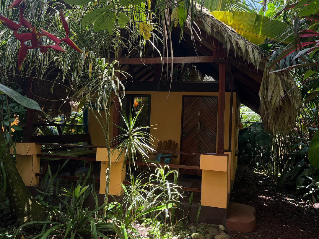 Caribe Town Bungalows加勒比小镇平房主图