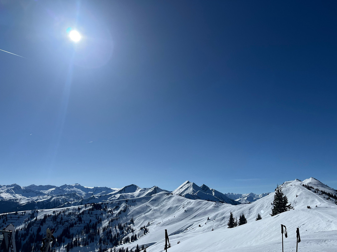 雪绒花 - 萨尔斯堡山度假酒店主图