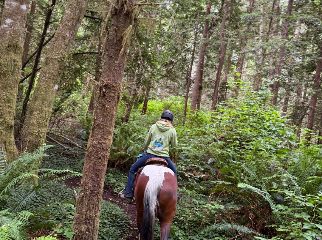 Redwood Creek Buckarettes-Orick必去景点