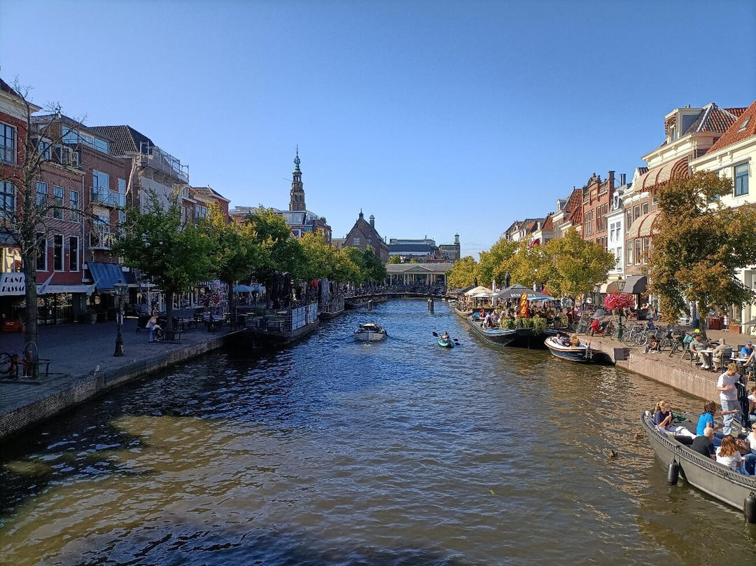 Rijn (Rhine)-莱顿必去景点