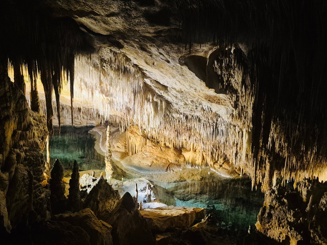 Cuevas del Drach-克里斯托港必去景点