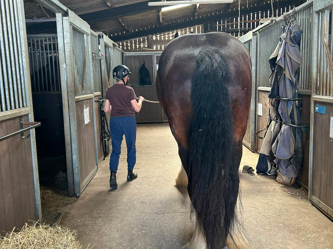 Rein and Shine Equestrian Centre-斯温顿必去景点