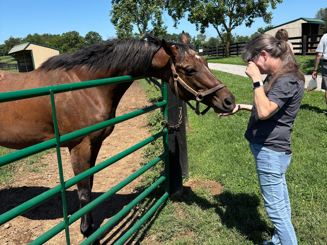Old Friends at Dream Chase Farm-Georgetown必去景点