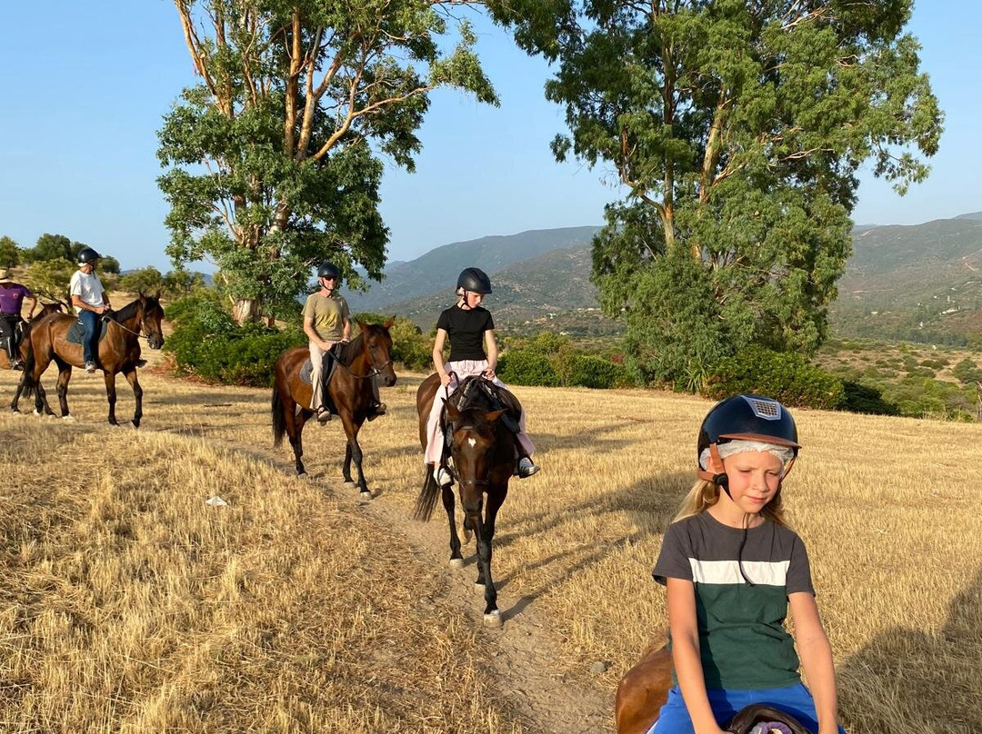 Centro Equestre Mirmex Asd-Quartucciu必去景点