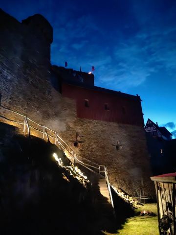 Ehrenburg-旅行者