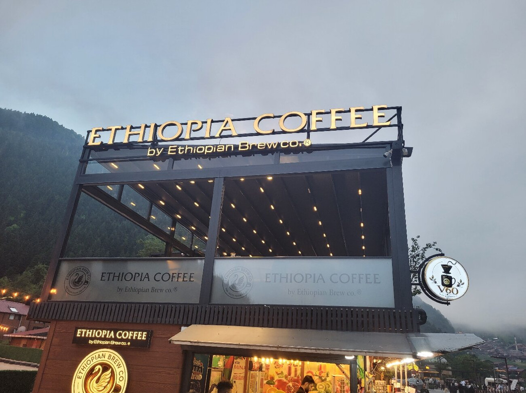 Ethiopia Coffee by Ethiopian Brew Co