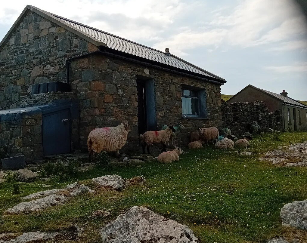 Belmullet Boat Charters - Inishkea Ferry & Sea Safari Tours-Belmullet必去景点