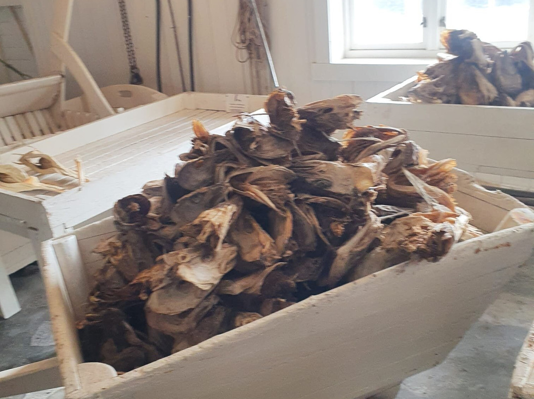 Lofoten Stockfish Museum-Moskenes Municipality必去景点