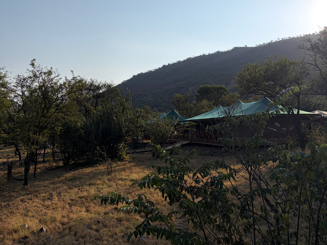 Mbuni Tented Camps-Seronera必去景点