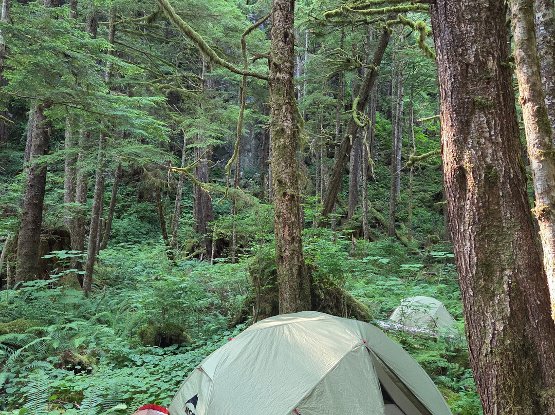 Kingfisher Wilderness Adventures-Port McNeill必去景点