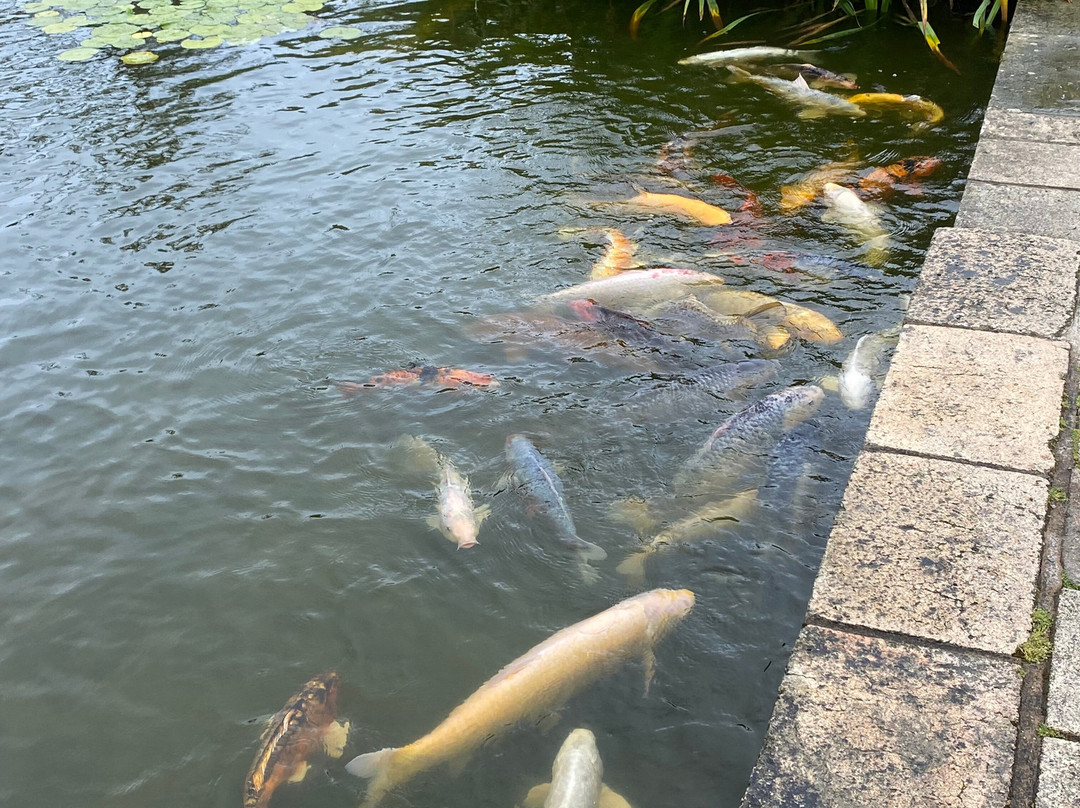 Logan Botanic Garden-Port Logan必去景点