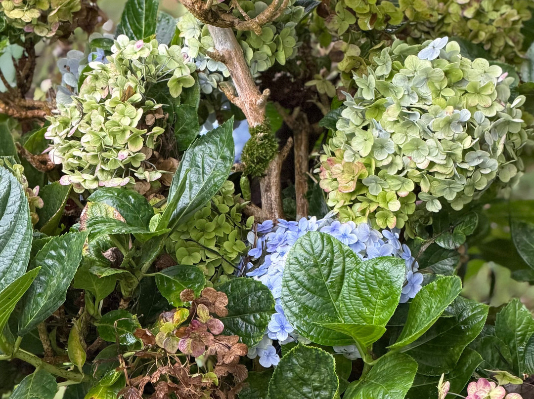 慕那尔尼拉克鲁润吉植物酒店主图