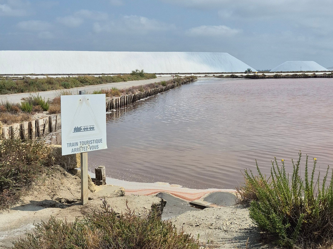 Salin d'Aigues-Mortes-艾格莫尔特必去景点