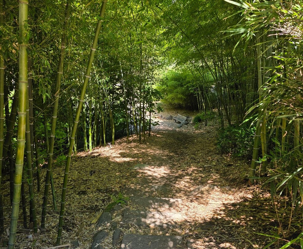 Hoyt Arboretum-波特兰必去景点