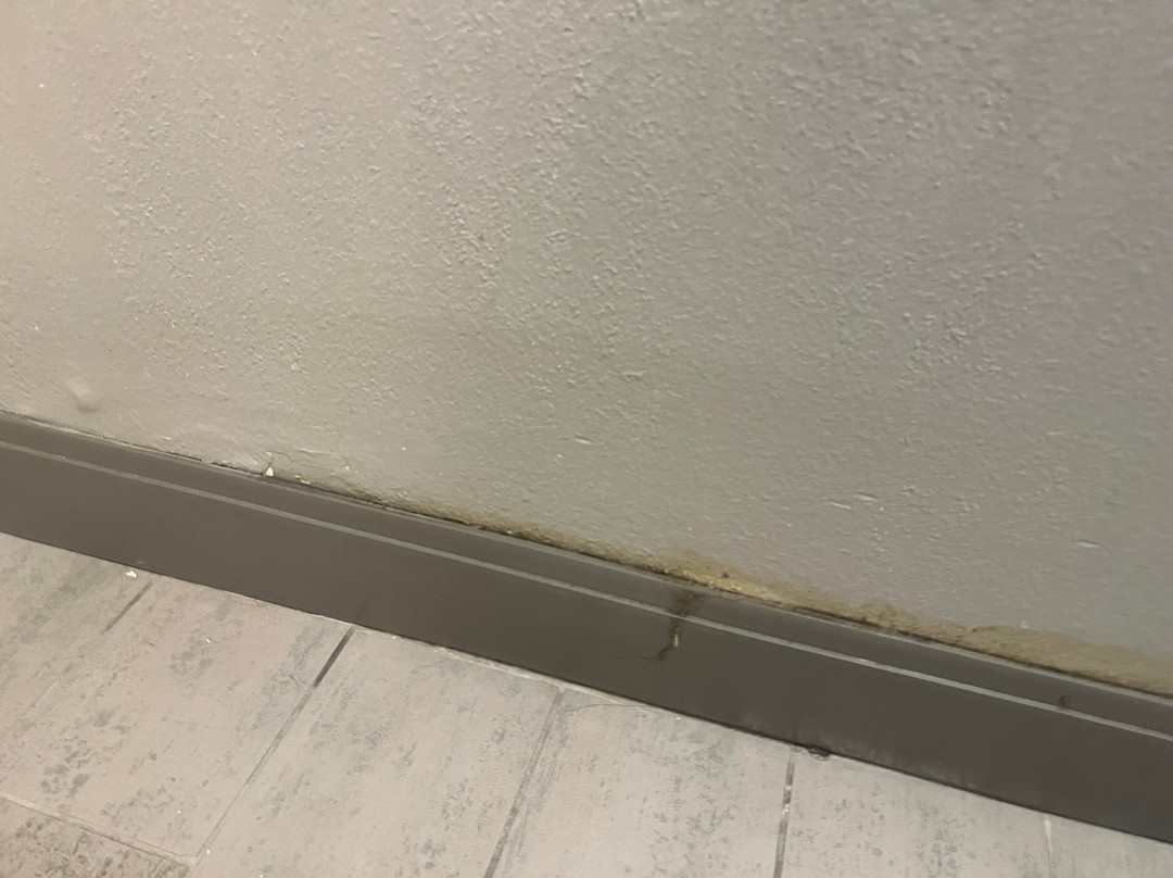希尔顿欢朋酒店-贝茨维尔主图