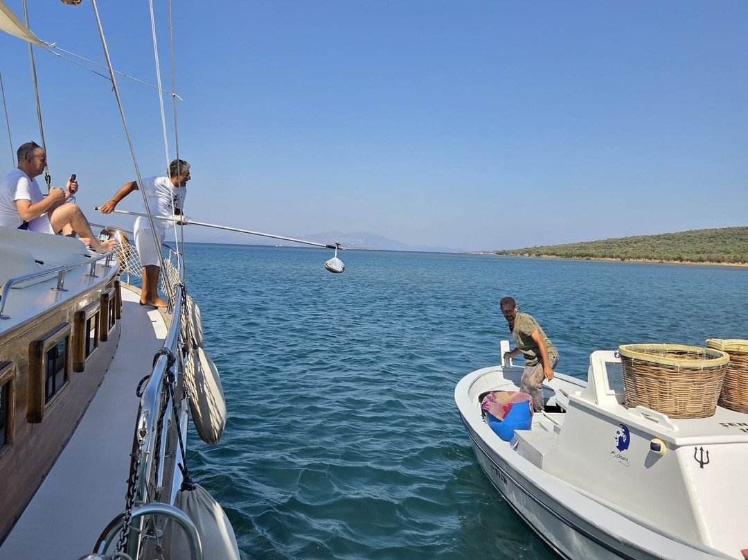 My Dream - Cunda Yat Turlari-Cunda Island必去景点