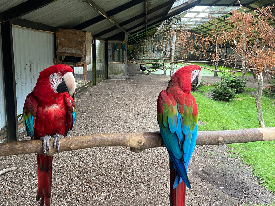 Dyrenes Verden Filskov Mini Zoo i Billund-格林斯泰兹必去景点