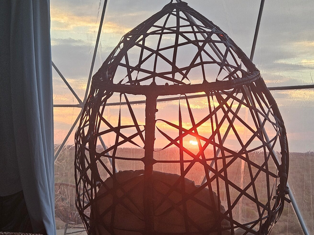 Clear Sky Resorts - Grand Canyon - Unique Sky Domes主图