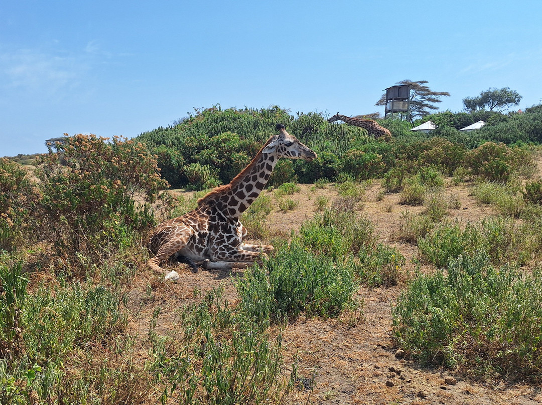 Shanjoy Tours and Safaris-Kikuyu必去景点
