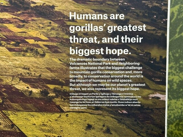 Ellen DeGeneres Campus of the Dian Fossey Gorilla Fund-Kinigi必去景点