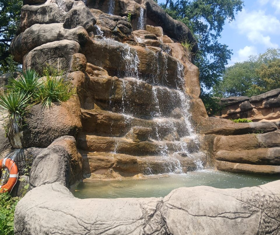 Little Rock Zoo-小石城必去景点