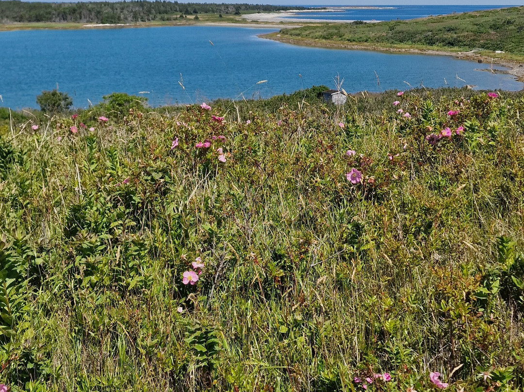 Canso Islands National Historic Site-Canso必去景点