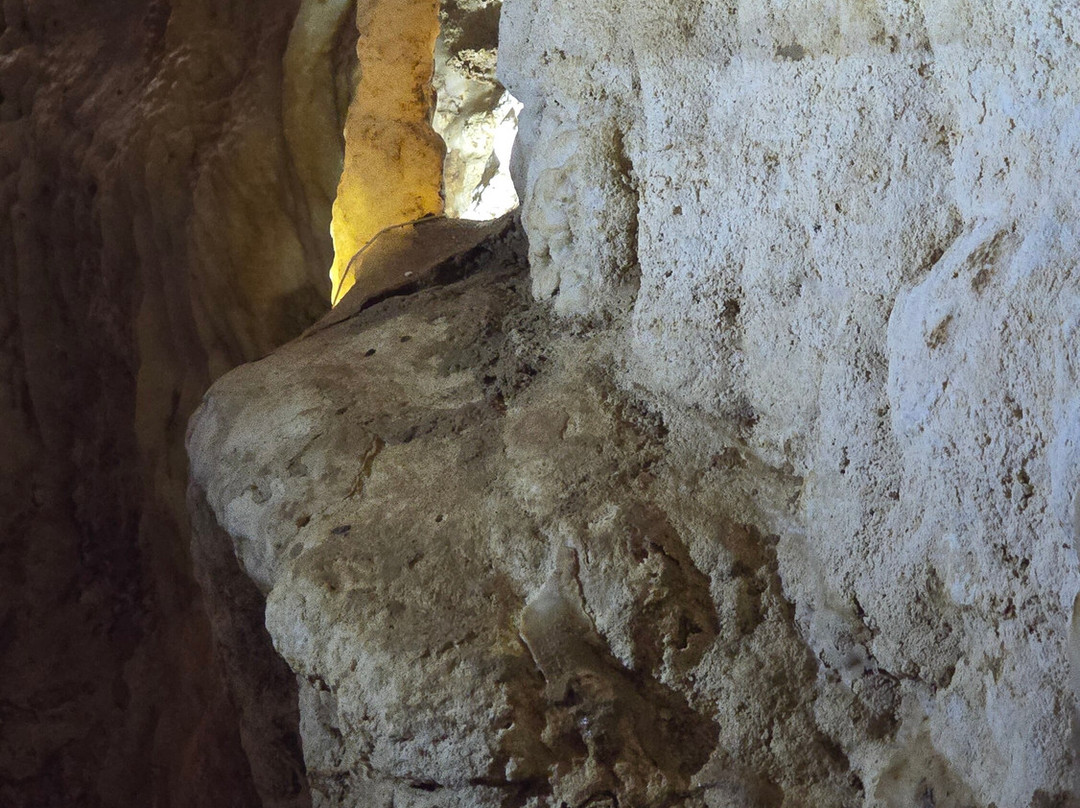 Ruakuri Cave-怀托摩洞穴必去景点
