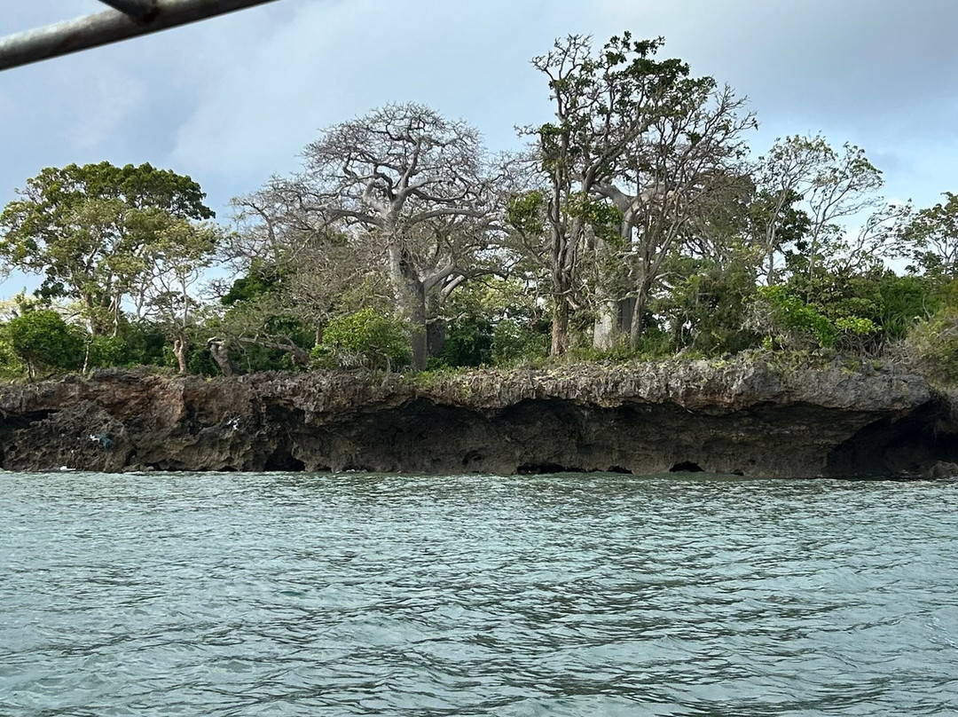Wasini Trips-Wasini Island必去景点