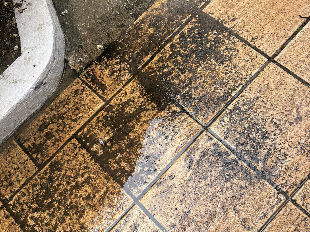 巴巴多斯俱乐部酒店-全包-限成人主图