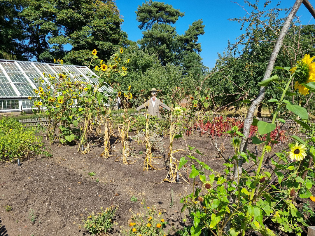 Calke Abbey-Ticknall必去景点