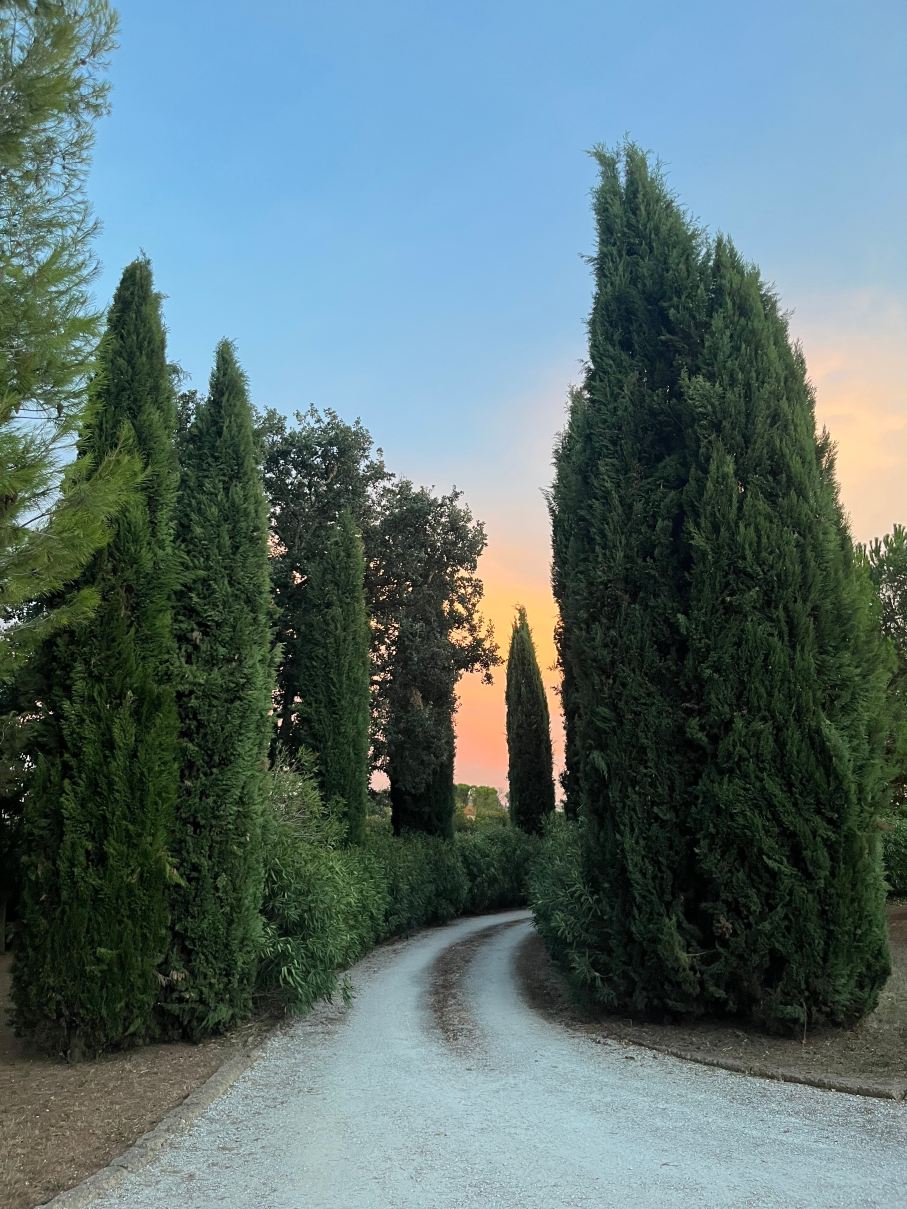B&B Luna Bianca-旅行者