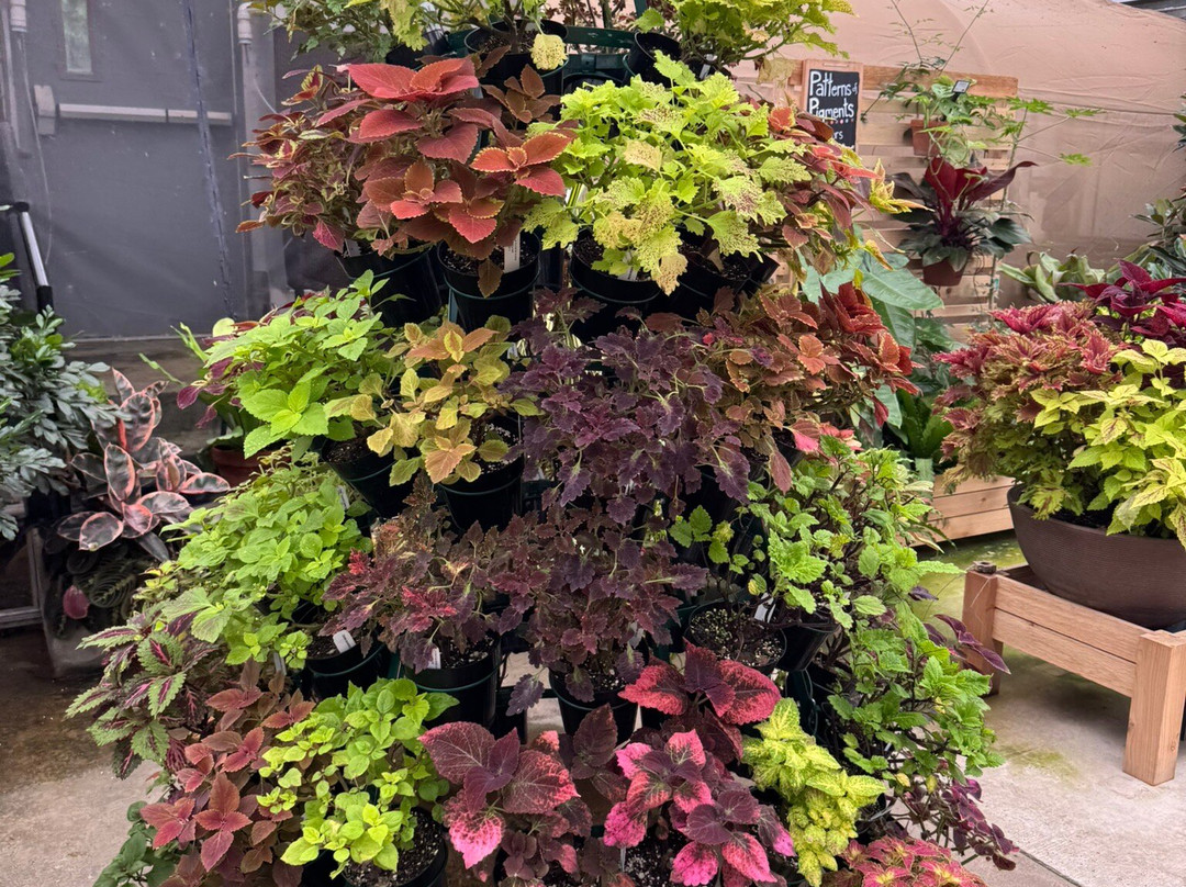 Greater Des Moines Botanical Garden-得梅因必去景点