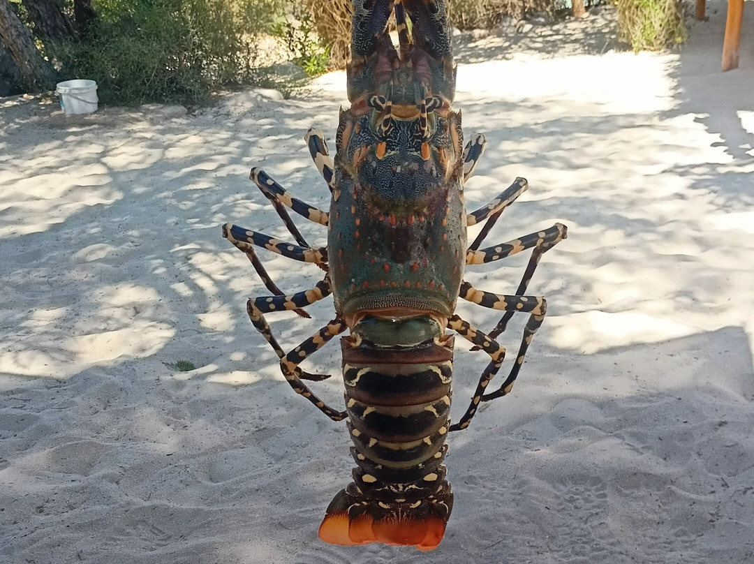 Kokoa Sands Guest House - Ankasy Madagascar主图