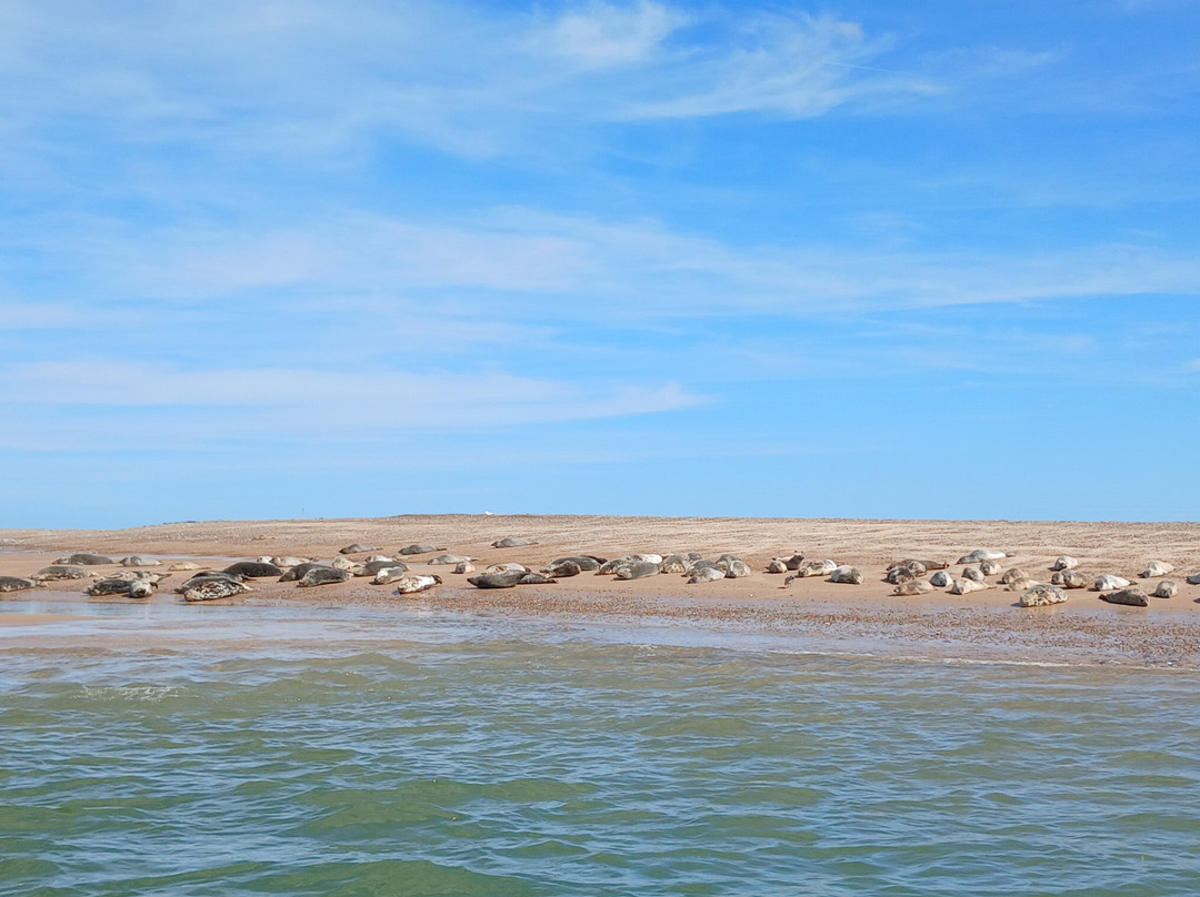 Temples Seal Trips & Blakeney Point-Morston必去景点