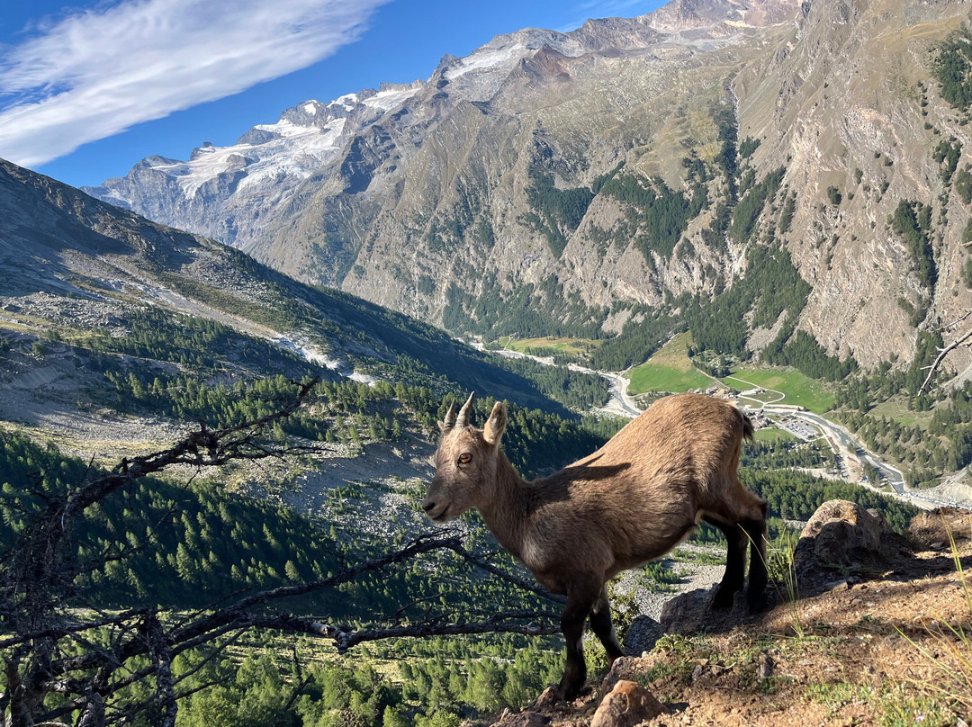 Montseuc Belvedere Sentiero natura-科涅必去景点