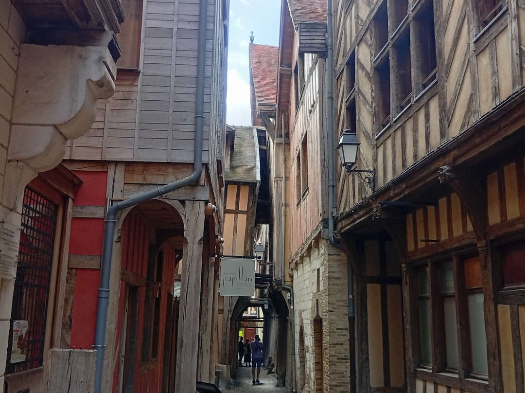 Ruelle des Chats-特鲁瓦必去景点