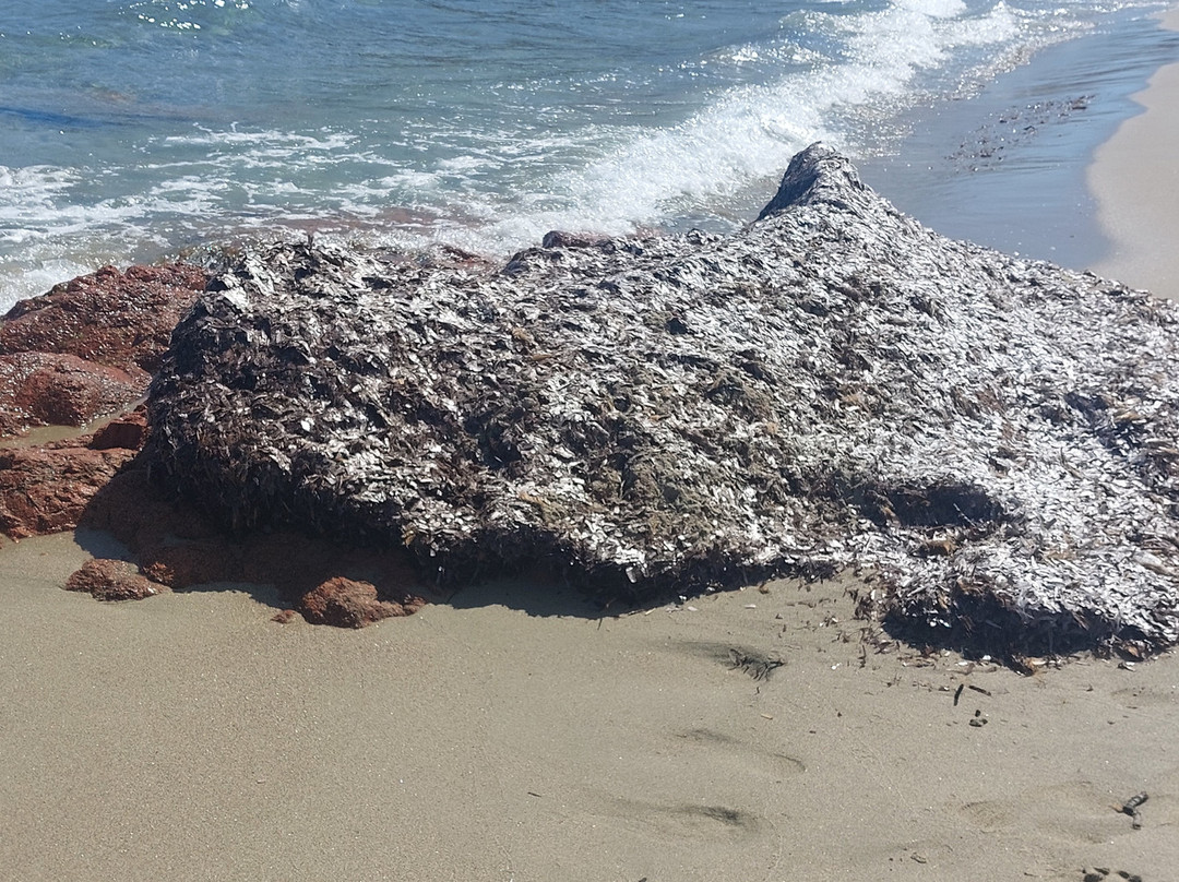 Su Sirboni Beach-Marina di Gairo必去景点