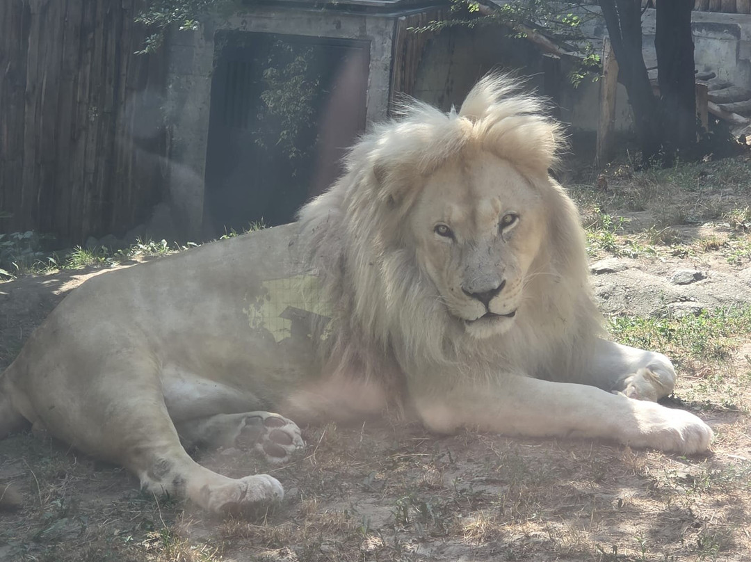 ZOO Bratislava-布拉迪斯拉发必去景点