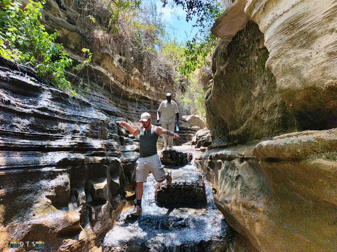 Destinations Kenya Safari-内罗毕必去景点