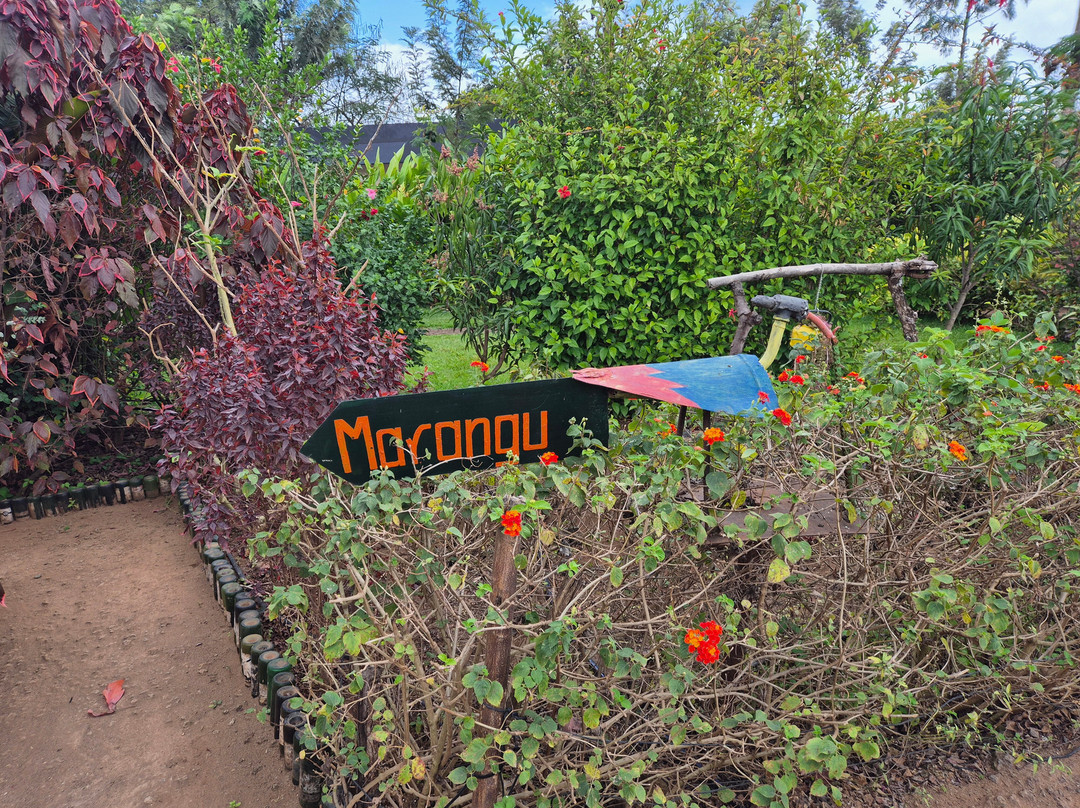 Kibo View Farm Lodge